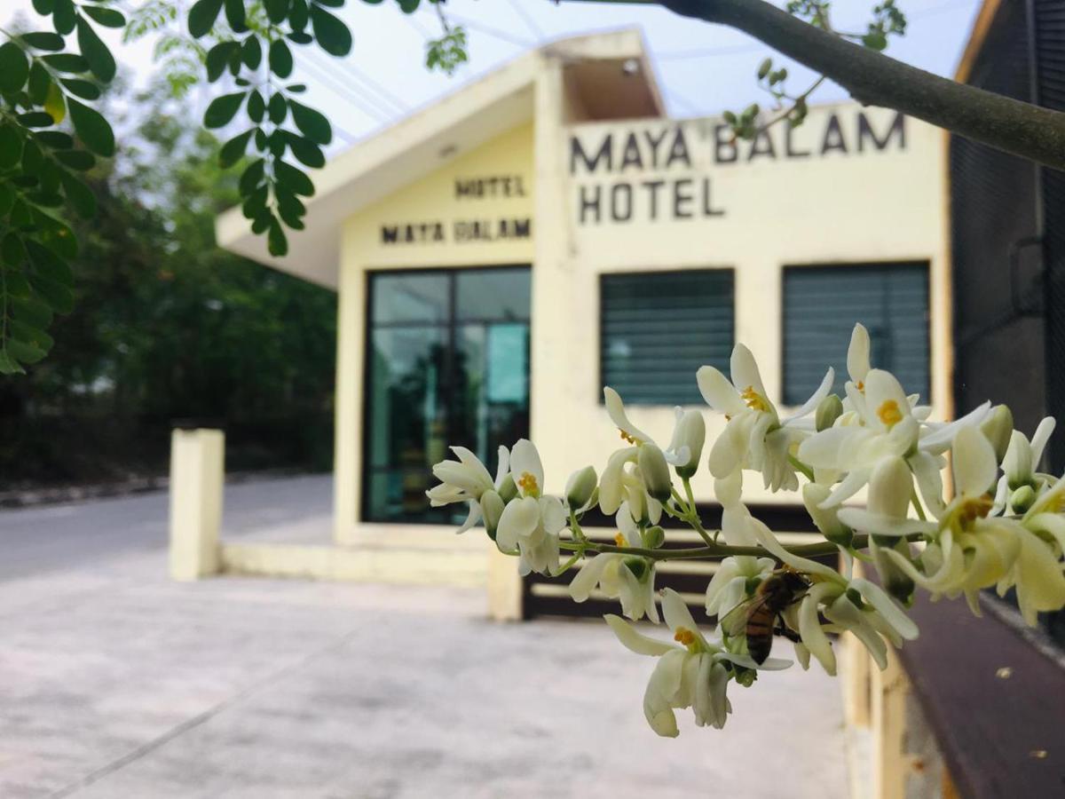 Hotel Maya Balam スプヒル エクステリア 写真